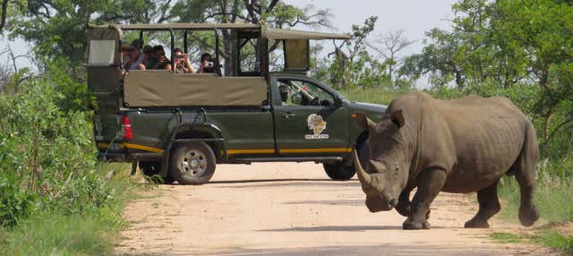 Safari di 4 giorni nel Parco Nazionale Kruger