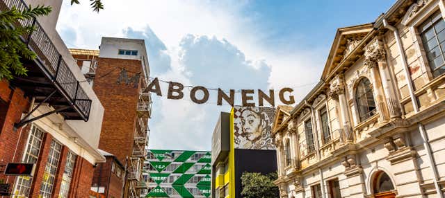 Tour della street art di Johannesburg