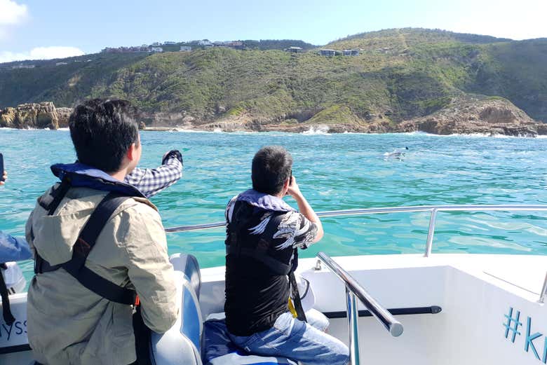 Imagen 3