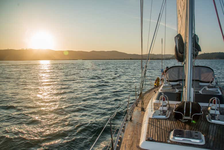 Imagen 6