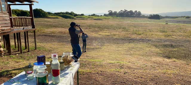 Birdwatching a Oudtshoorn