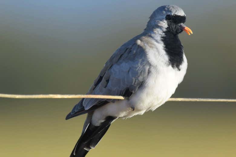 Ver más fotos