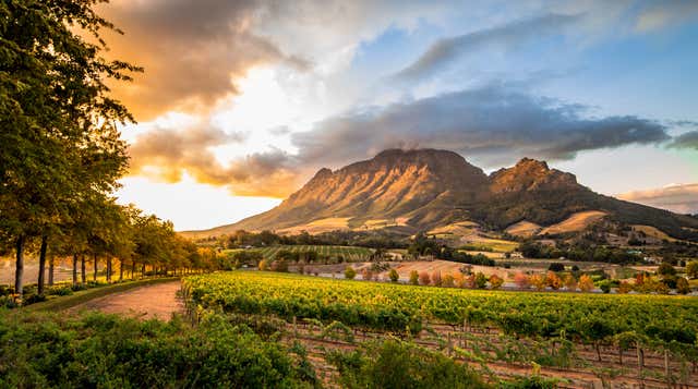 Stellenbosch