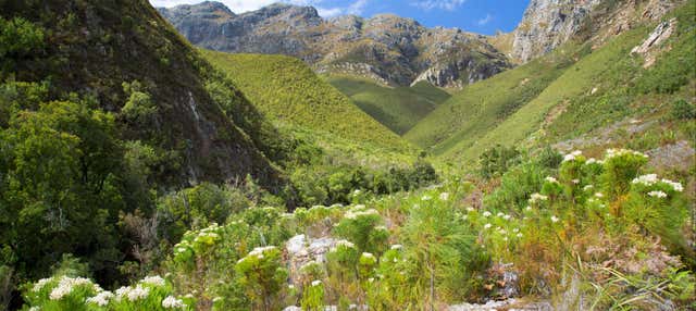 Trekking a Jonkershoek