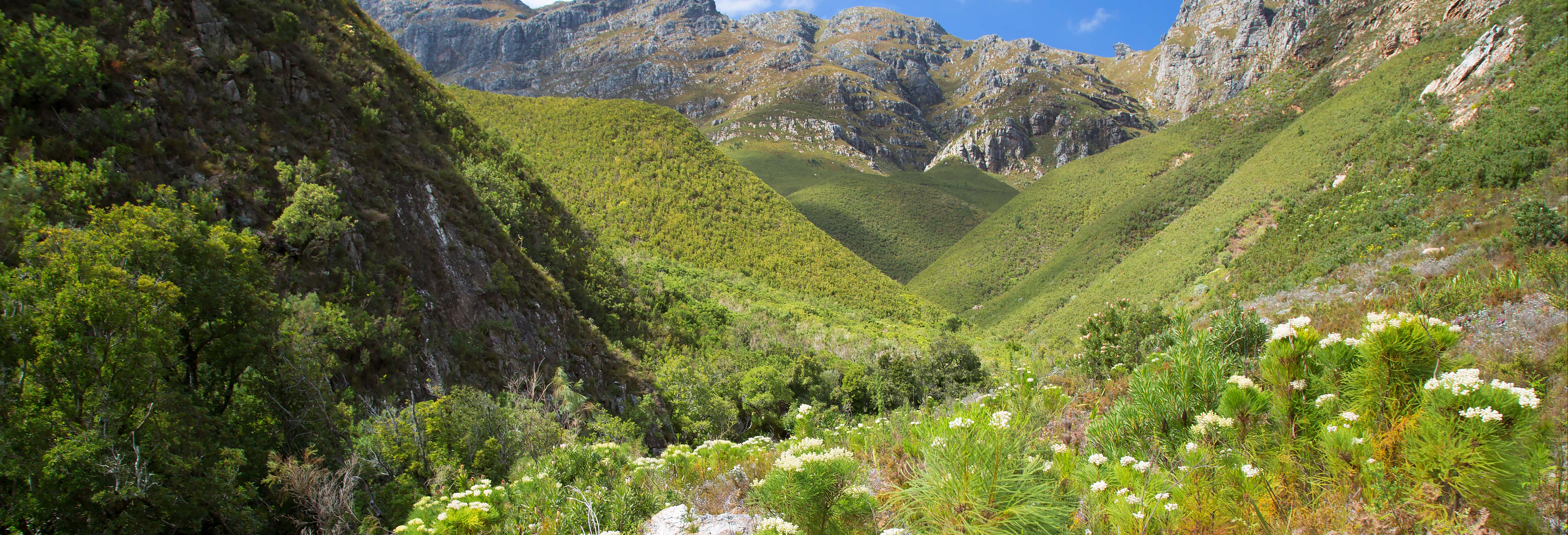 Trekking a Jonkershoek