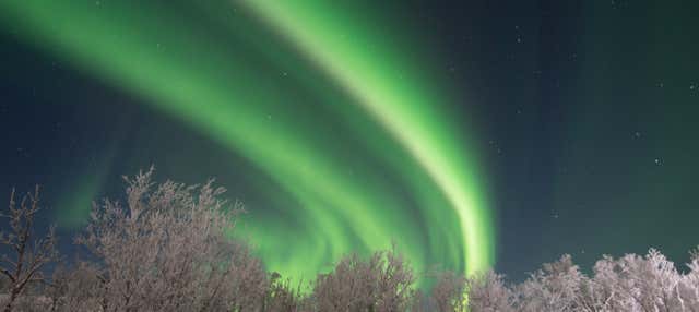 Tour dell'aurora boreale ad Abisko