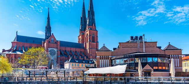 Tour privato di Uppsala
