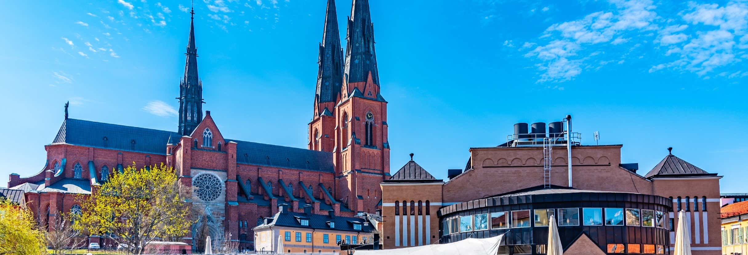 Tour privato di Uppsala