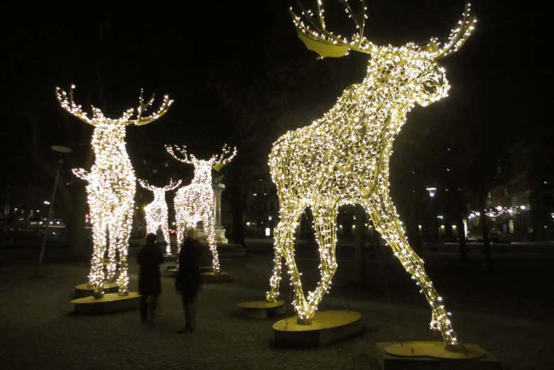Stockholm Christmas Tour