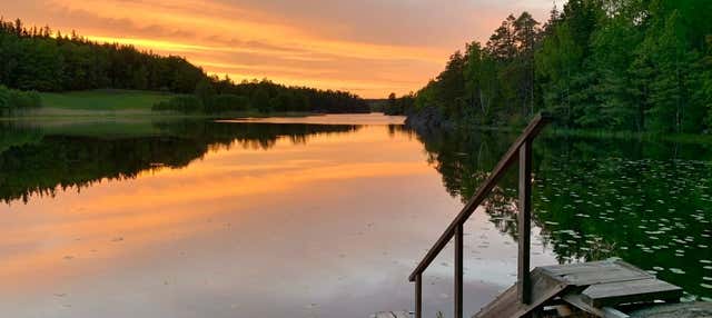 Hiking Tyresta National Park