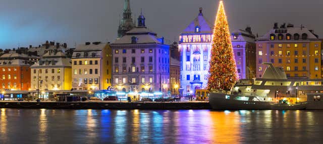 Tour natalizio di Stoccolma