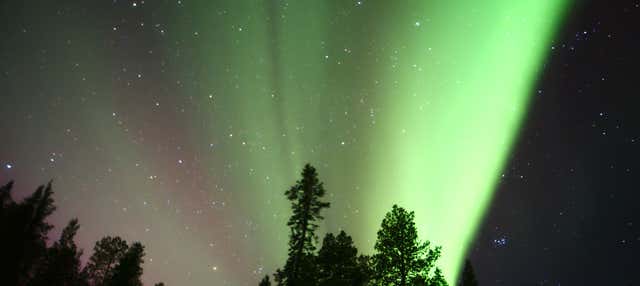 Escursione all'Aurora Colosseum