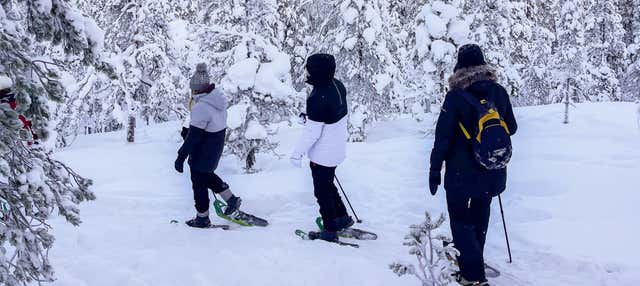 Passeggiata con racchette da neve a Luleå