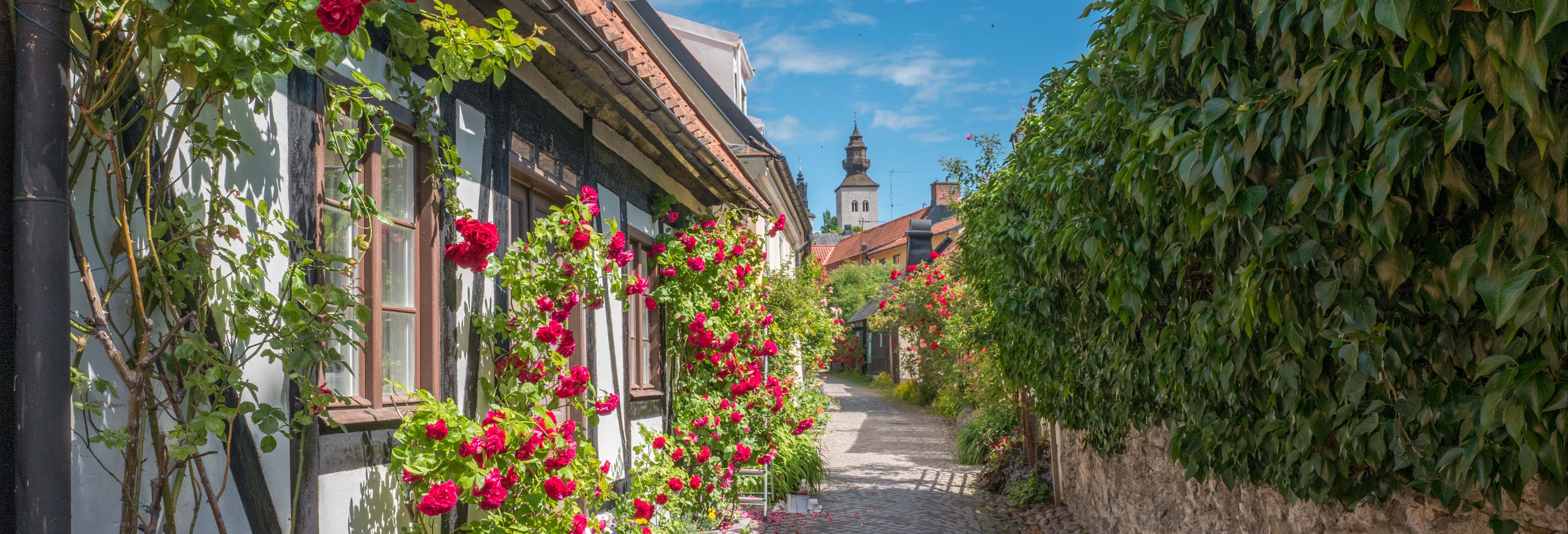 Tour por Visby para cruceros