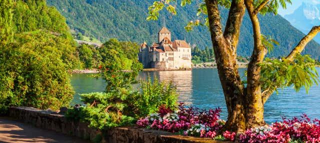 Excursión al castillo de Chillon y viñedos de Lavaux