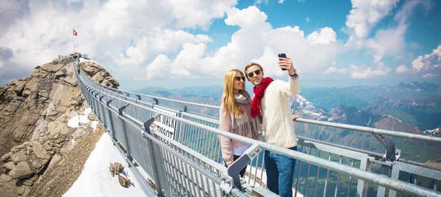 Escursione alla Funivia Glacier 3000 e a Montreux