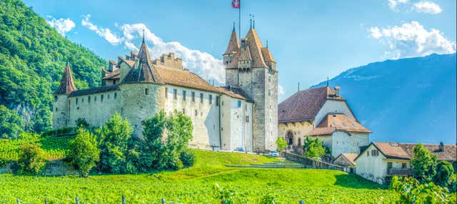 Escursione alle miniere di sale di Bex e al castello di Aigle