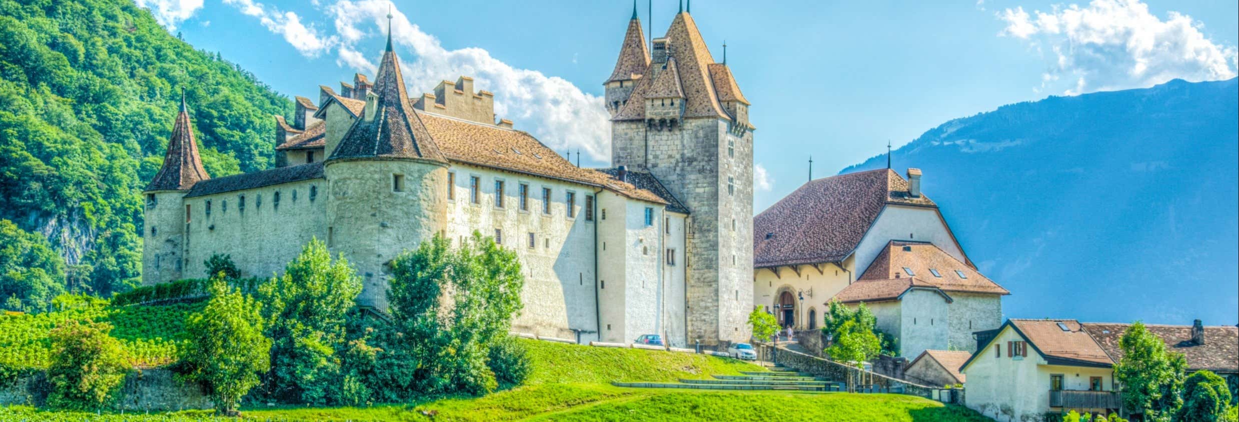 Escursione alle miniere di sale di Bex e al castello di Aigle