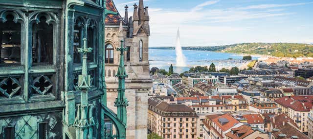 Tour panoramico di Ginevra + Treno turistico