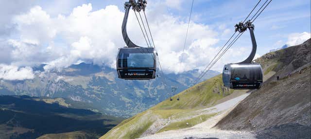 Da Grindelwald: Treno a cremagliera o funicolare per Jungfraujoch + Top of Europe