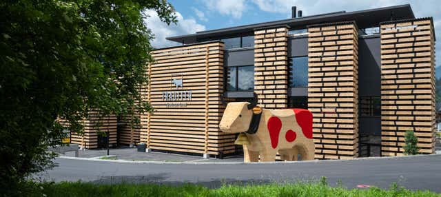 Biglietti per il museo Kuhniversum della fabbrica Trauffer