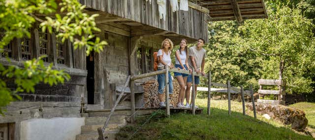 Biglietto per il museo all'aperto Ballenberg