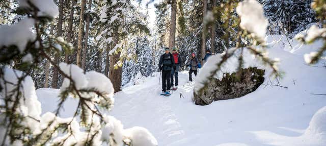 Wetterhorn Snowshoe Hike