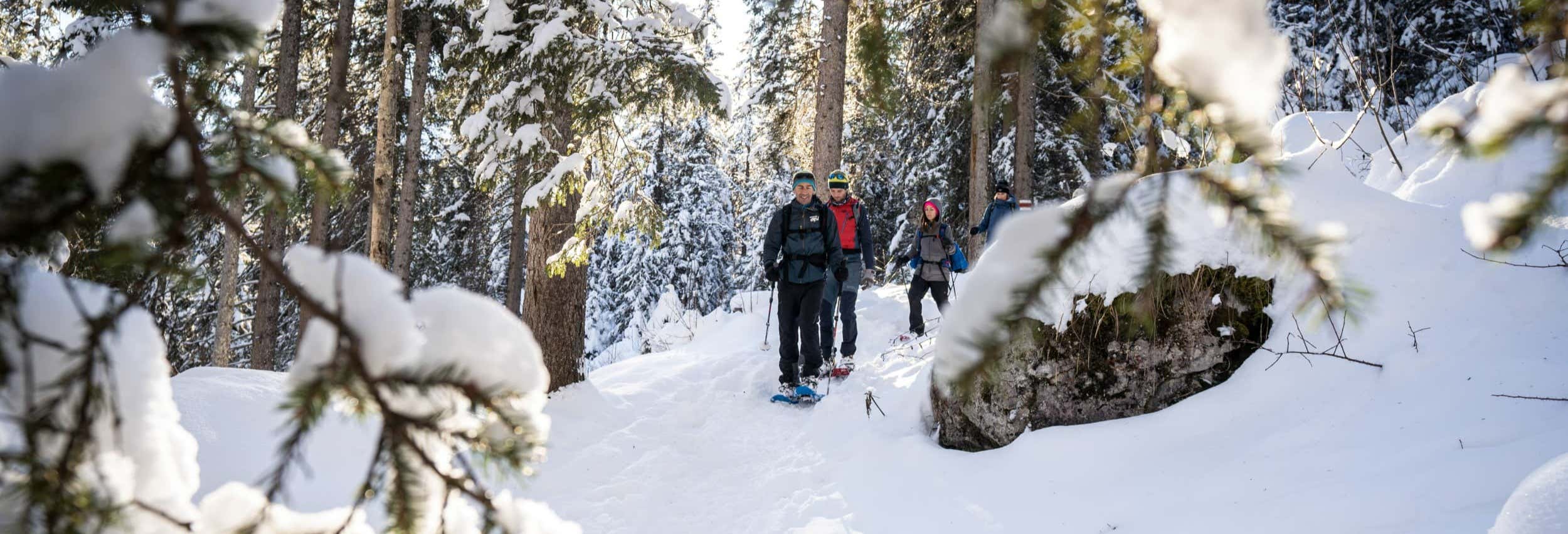Passeggiata con racchette da neve a Wetterhorn