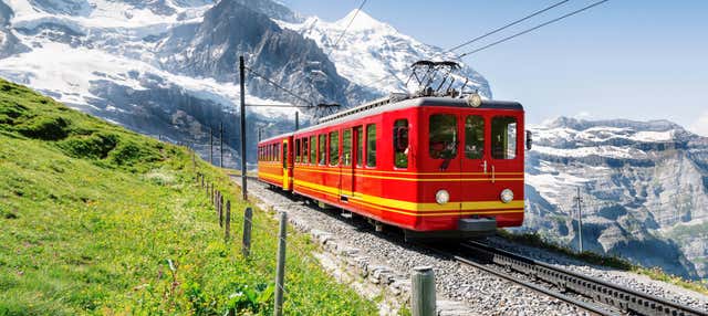 Treno per Jungfraujoch - Top of Europe
