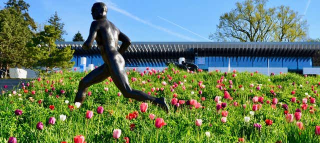 Biglietti per il Museo Olimpico con audioguida