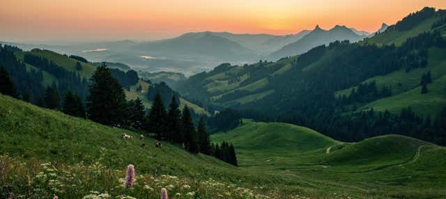 Escursione a Gruyères