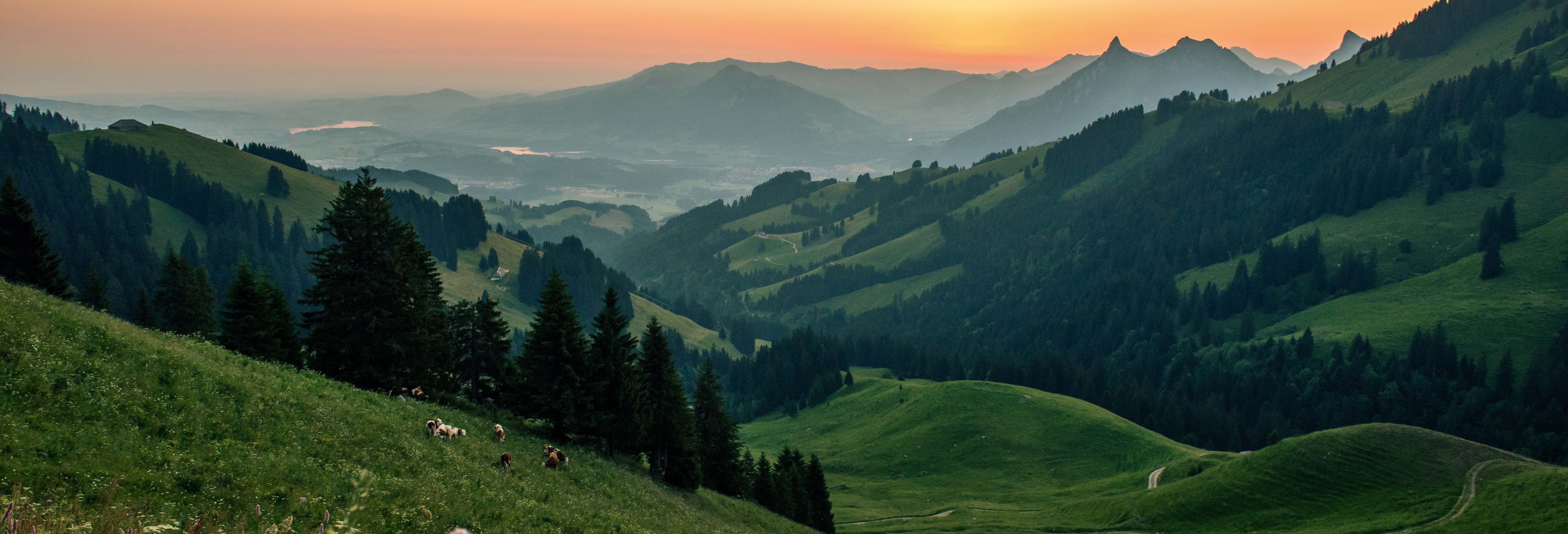Escursione a Gruyères