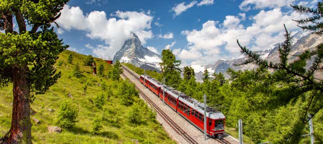 Escursione al Jungfrau