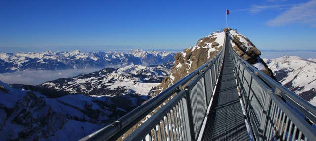 Biglietti per il Glacier 3000 con accesso a funicolare, seggiovia e belvedere