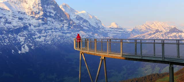 Escursione a Grindelwald e al Monte First