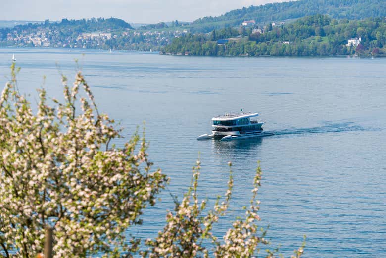 Imagen 3