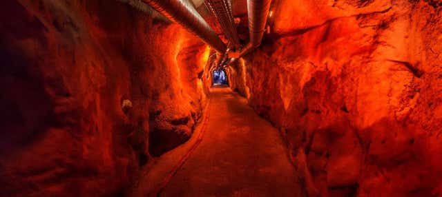 Biglietti per il Museo del Fort de Chillon