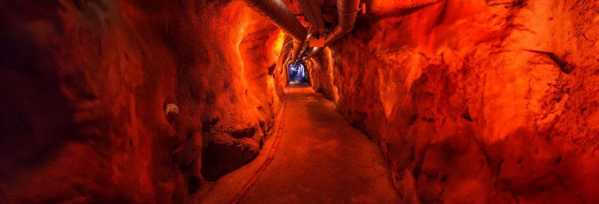 Biglietti per il Museo del Fort de Chillon