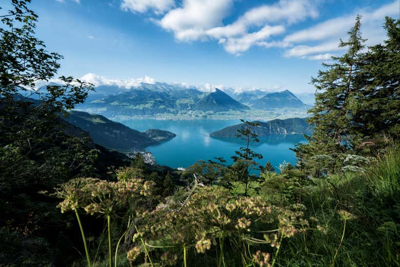 Wikitravel