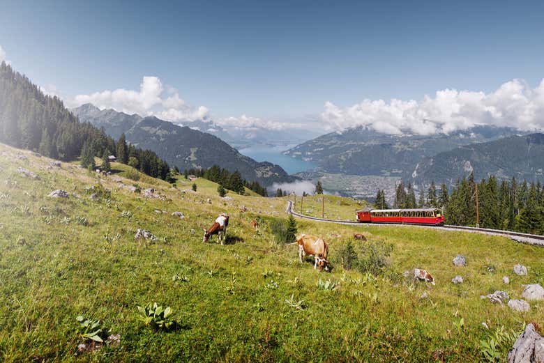 Wikitravel