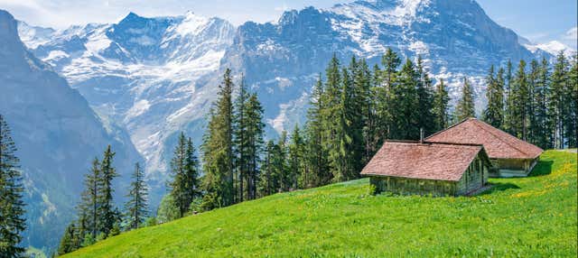 Escursione a Grindelwald e al Monte First