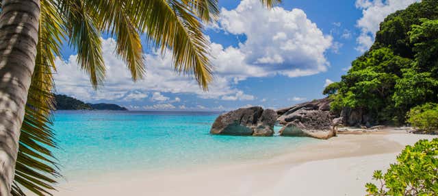 Escursione alle isole Similan in motoscafo