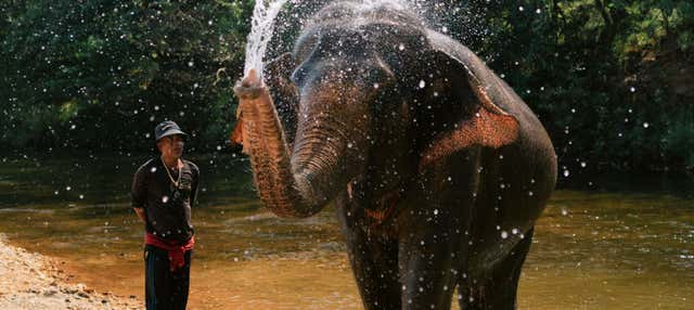 Safari al Parco nazionale di Khao Sok