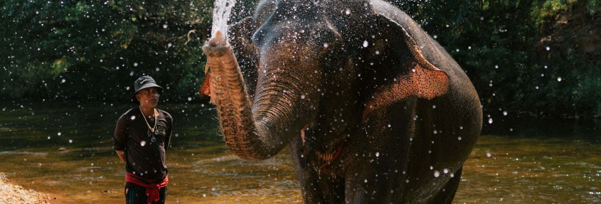 Safari al Parco nazionale di Khao Sok