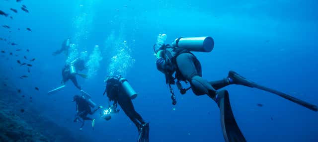 Corso di immersione SSI Open Water