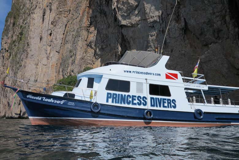 Imagen 8