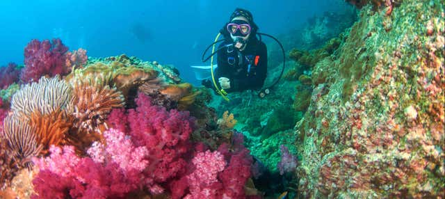 Immersione a Koh Rang