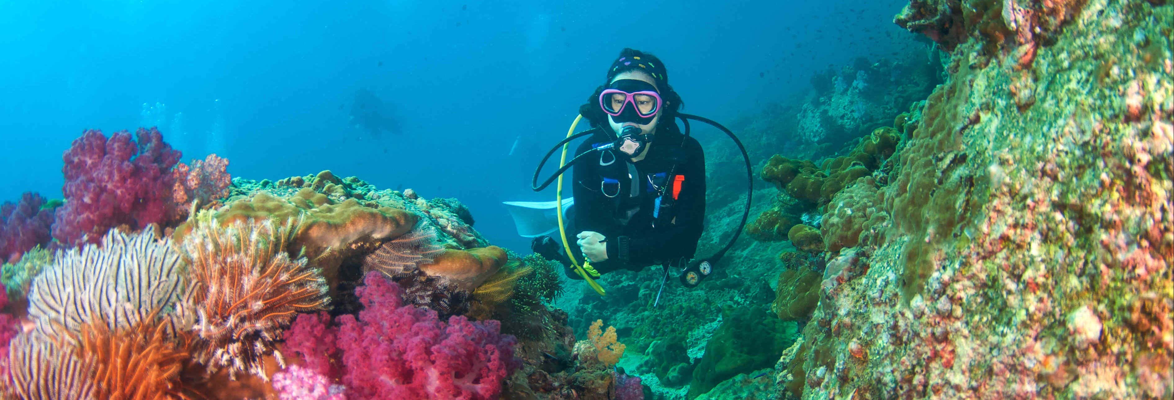 Scuba Diving in Koh Rang