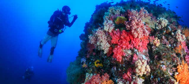 Corso PADI Open Water