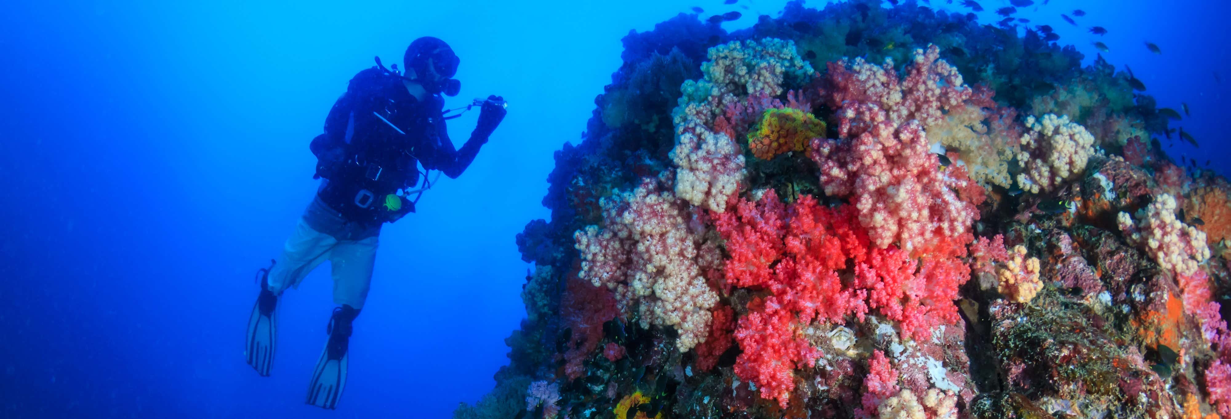 PADI Open Water Dive Course